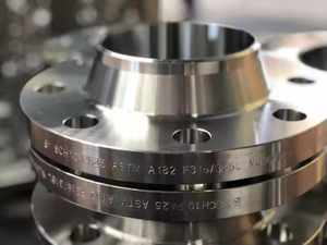 Stainless Steel Flanges for Marine Applications